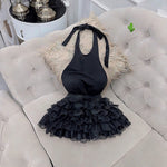 Set-S1011